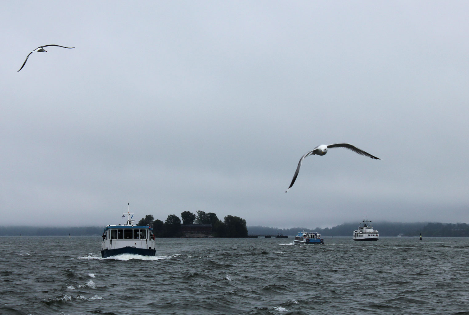 In flight