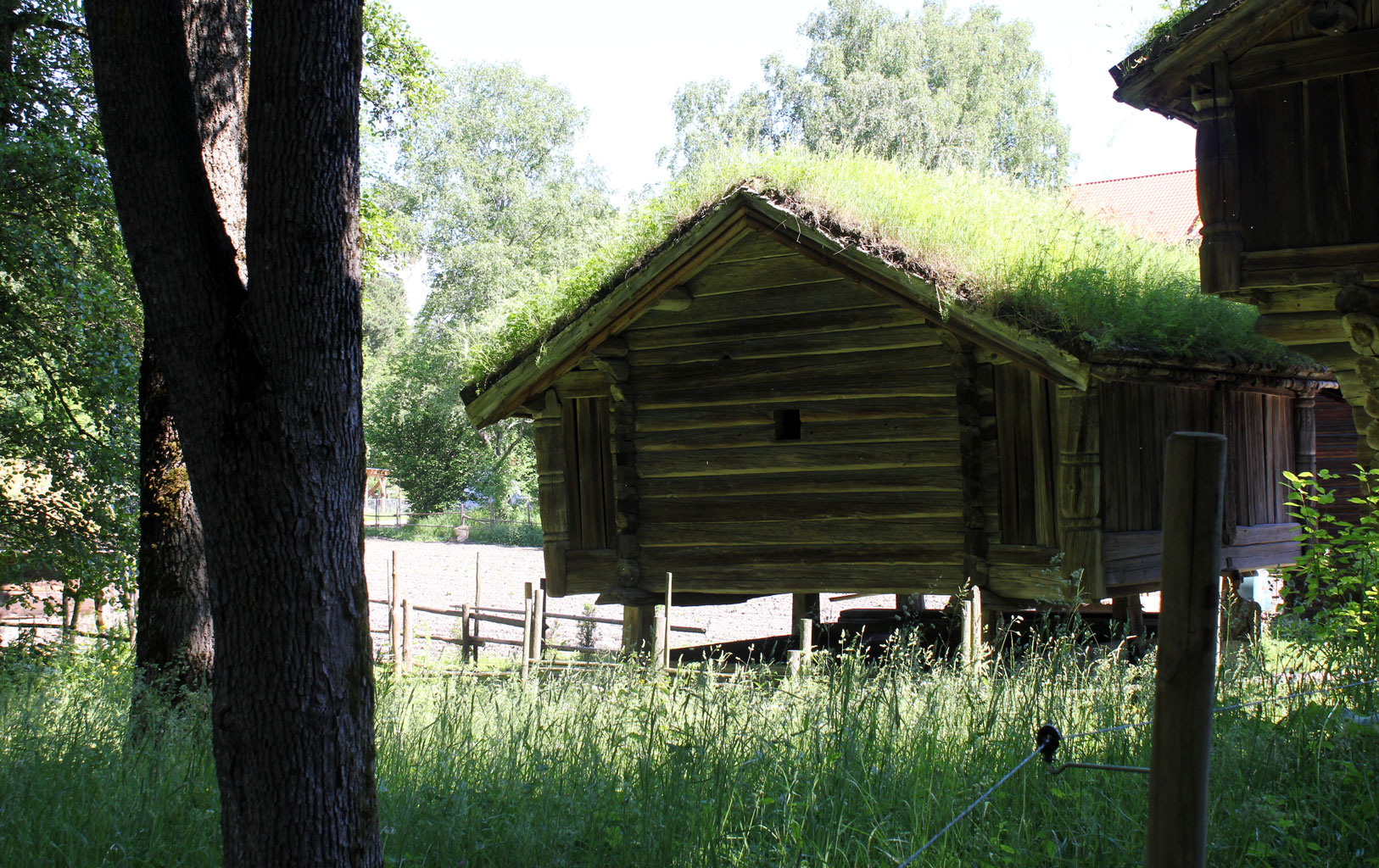 Raised thatched hut